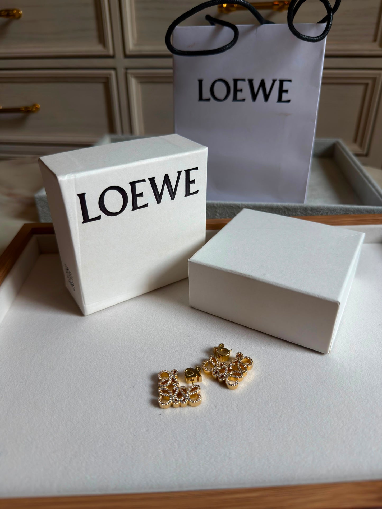 Loewe Earrings(with box & proper packaging)