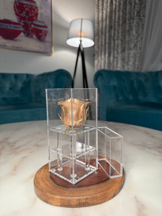 Box of 1 Golden preserved rose