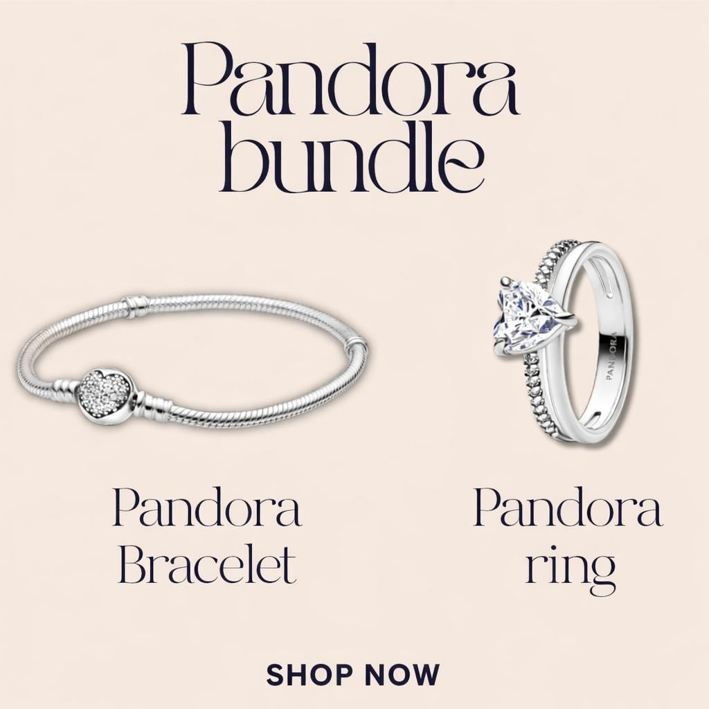 Silver Pandora jewel Bundle