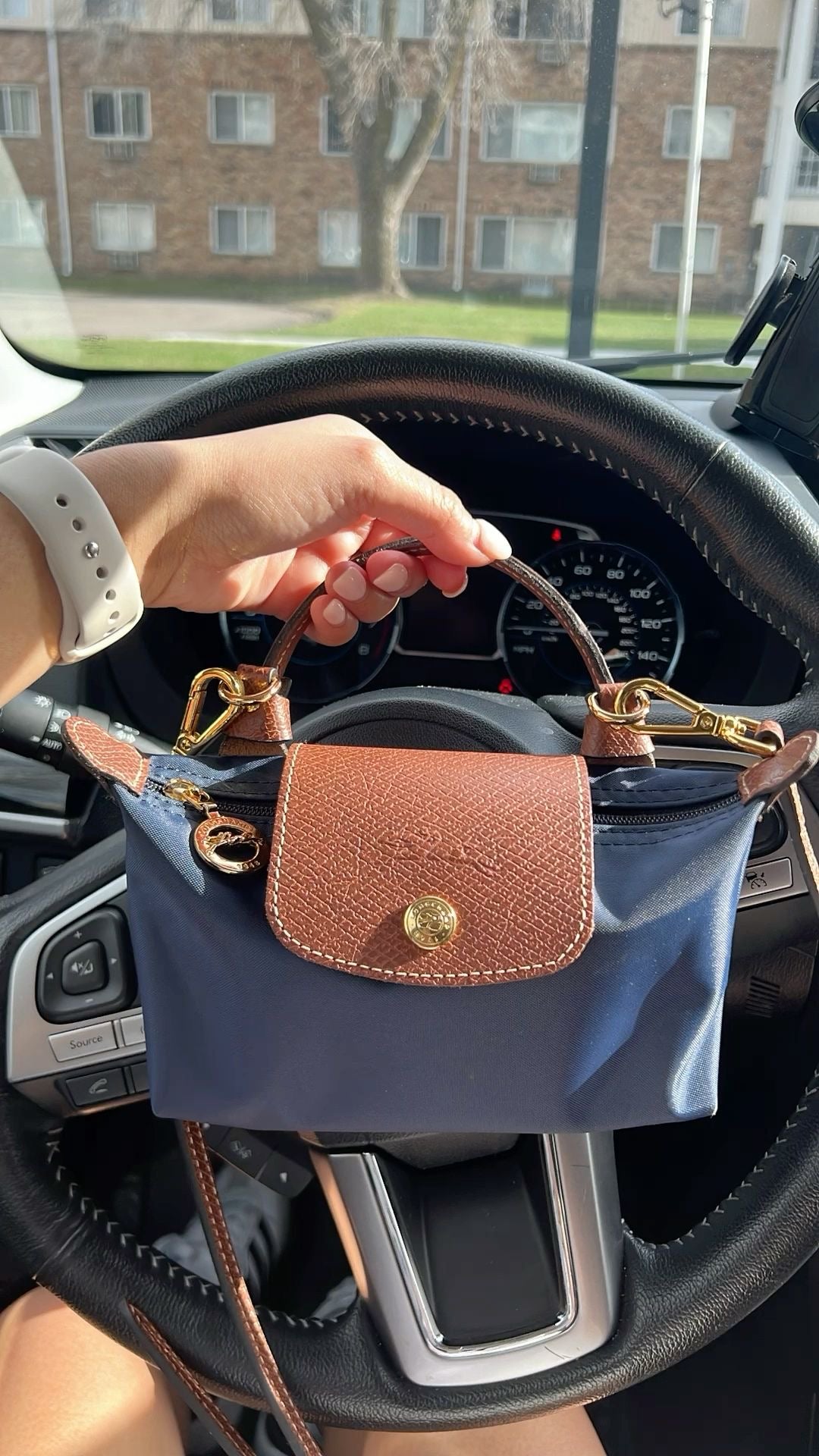 Long champ bag (immediate delivery )
