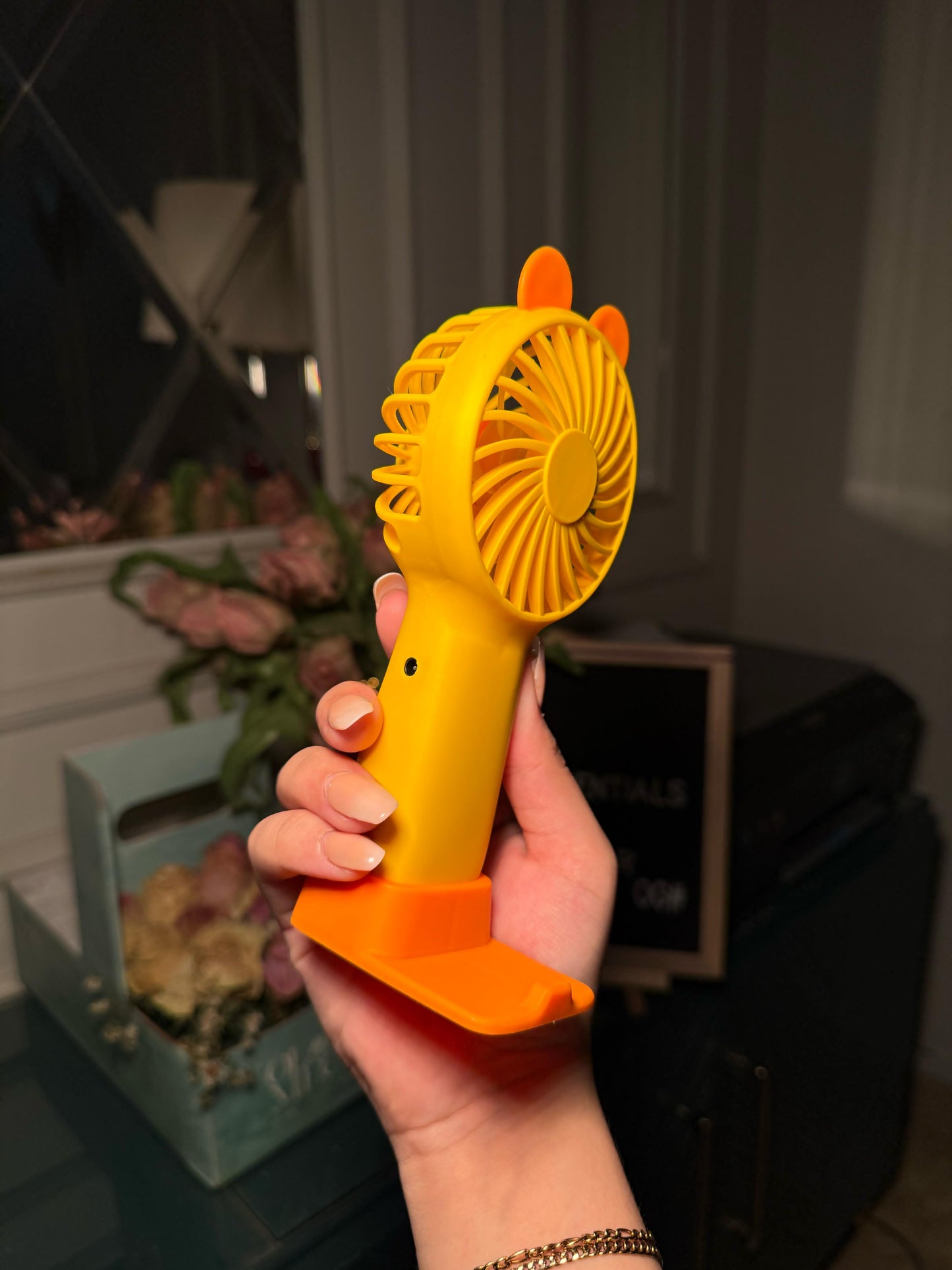 Sunny Bear Breeze Fan F25