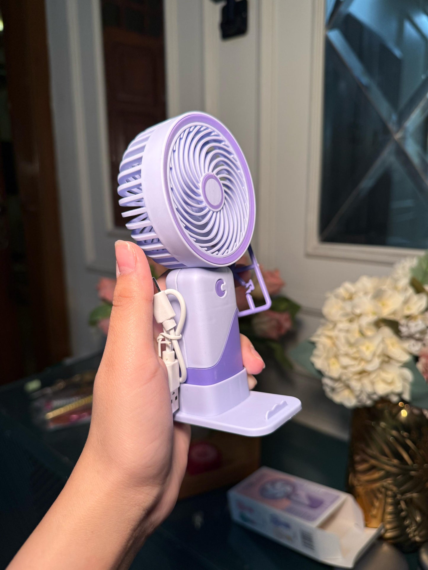 Korean Inspired Portable Fan F19