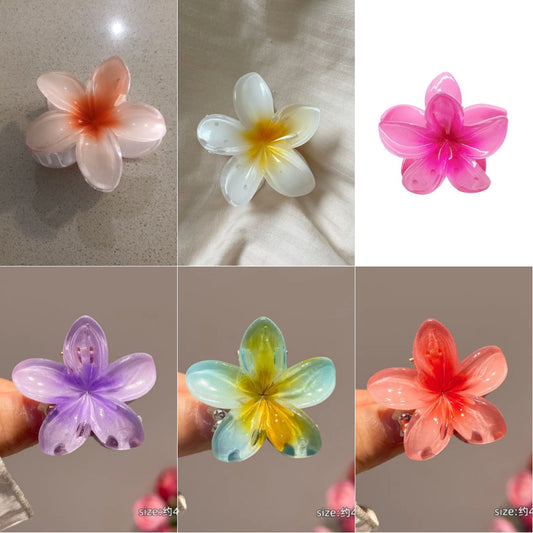 Mini hair claw pack of 6