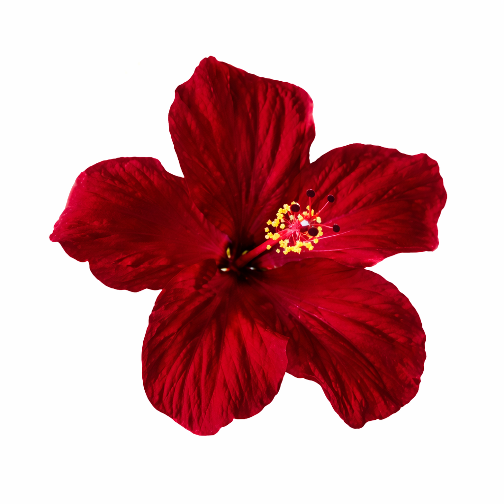 Red Hibiscus Flower Metal Phone Charm Sticker
