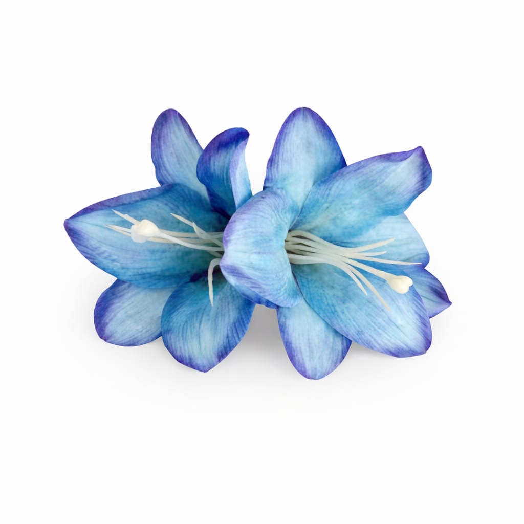 Lily Hair Clip’s