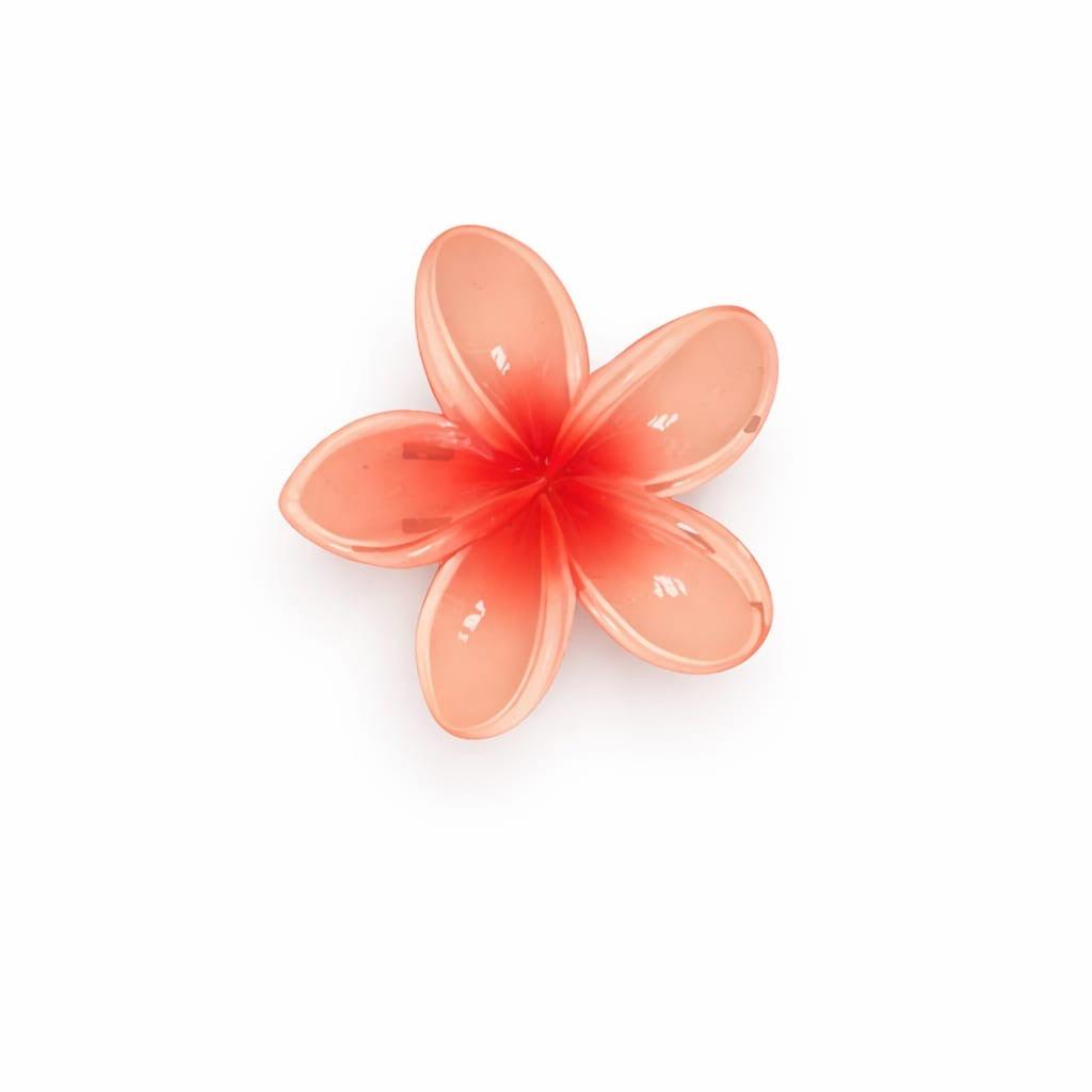Lily Mini hair claw’s Clip