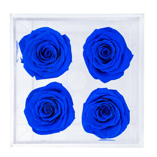 Box of 4 Klevin blue preserved roses