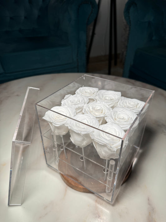 Box of 9 White preserved roses