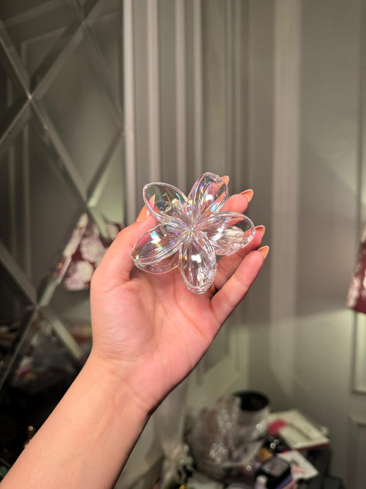 Clear transparent hair claw