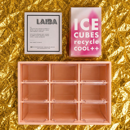 2pc Reusable ice cube tray box Value Pack
