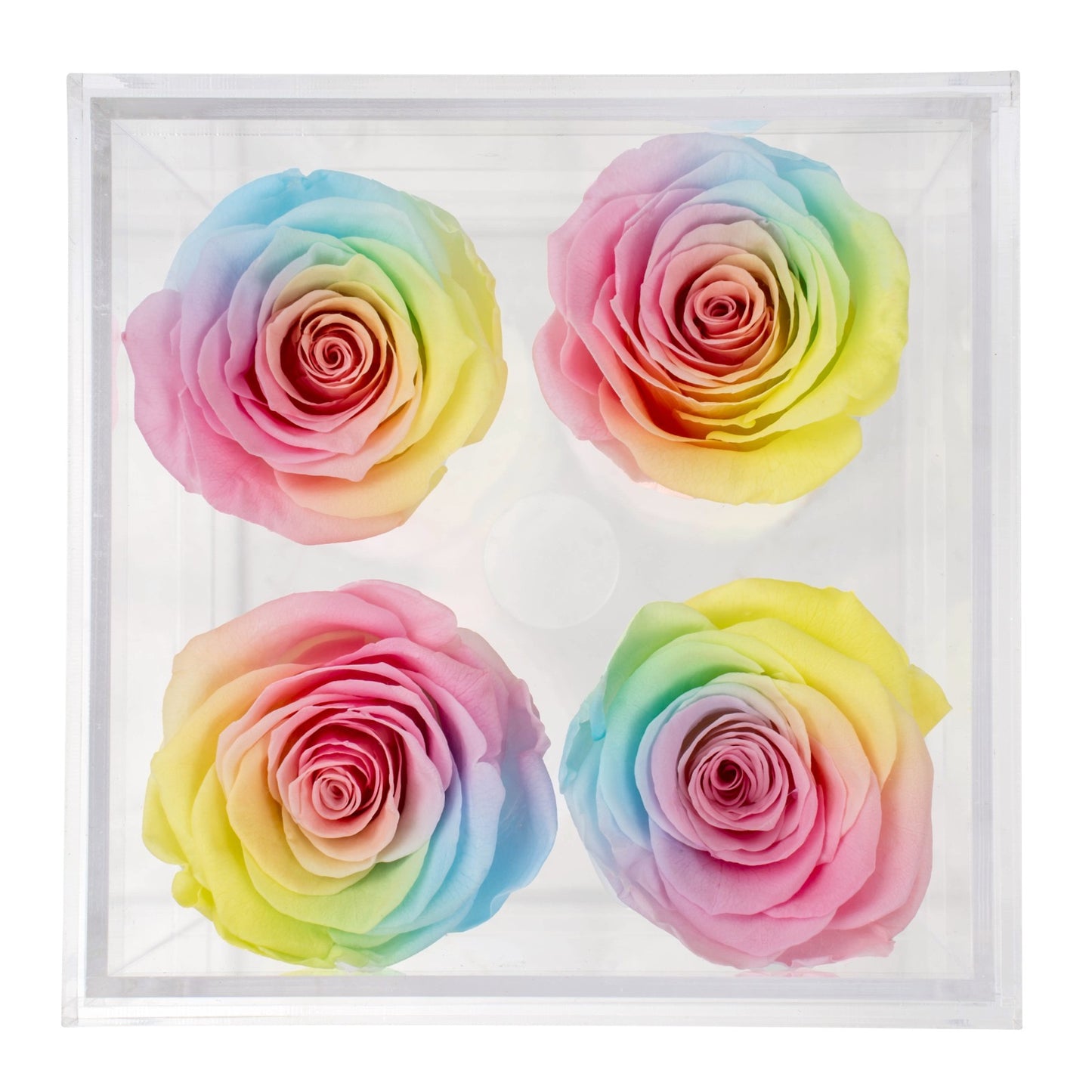 Box of 4 Pastel yellow preserved roses