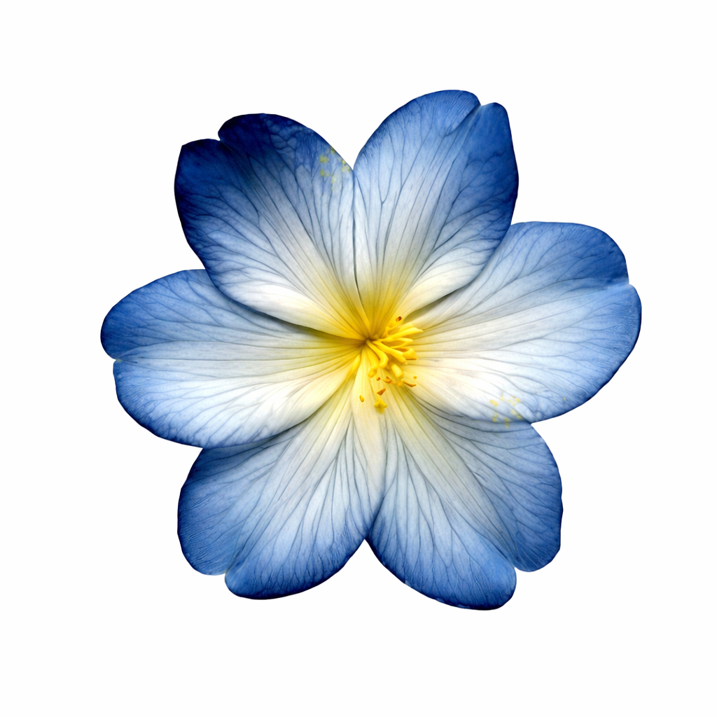Blue Blossom Flower Metal Phone Charm Sticker