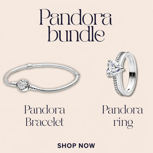Silver Pandora jewel Bundle