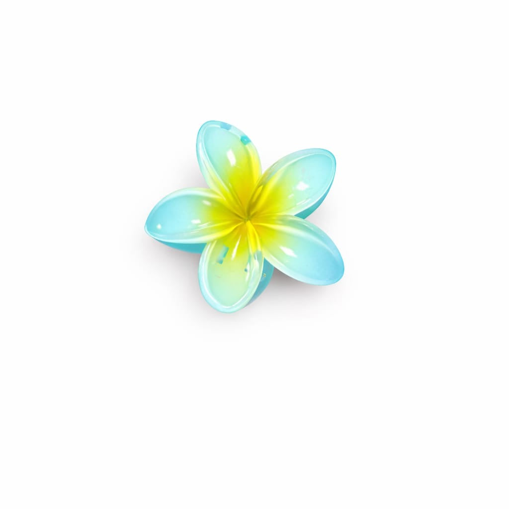 Lily Mini hair claw’s Clip