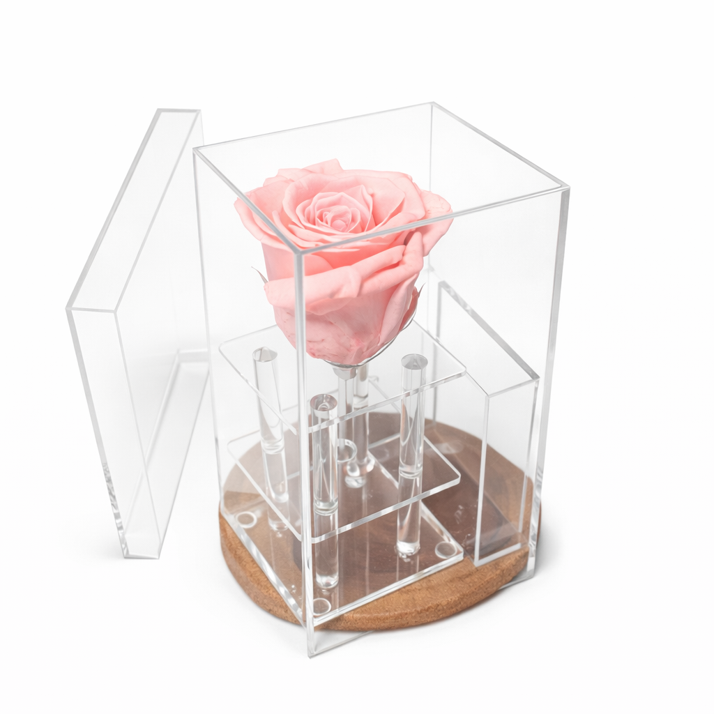 Box of 1 Sakura  preserved rose