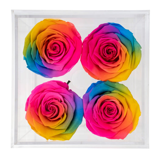 Box of 4 Rainbow preserved roses