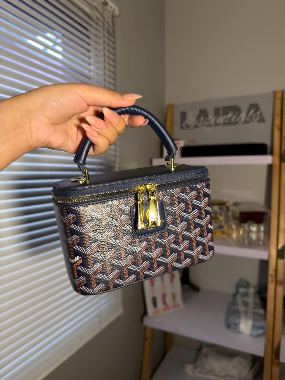 Goyard Mini Vanity Bag