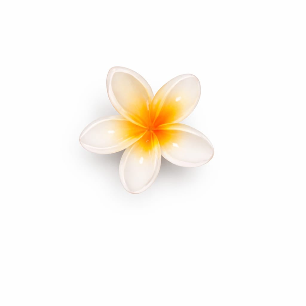 Lily Mini hair claw’s Clip