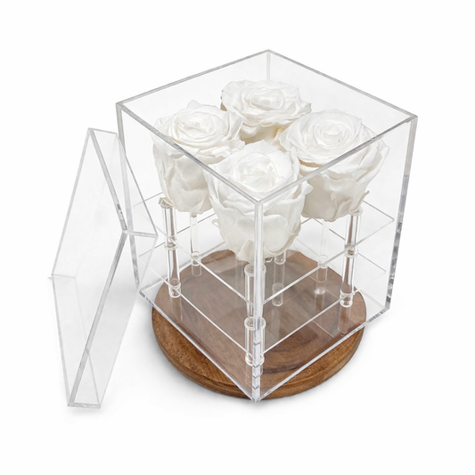Box of 4 White preserved roses