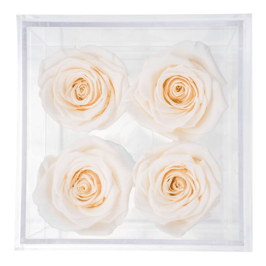 Box of 4 Beige preserved roses