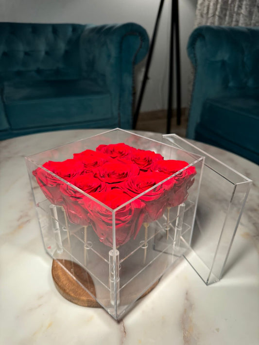 Box of 9 red preserved roses