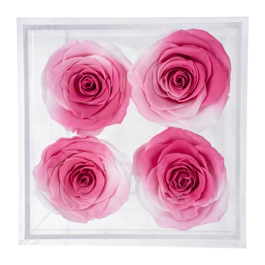 Box of 4 Rose pink preserved roses