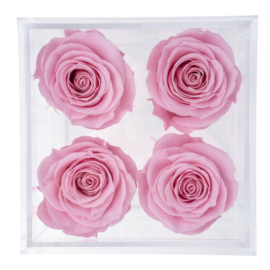 Box 4 Sakura  preserved roses