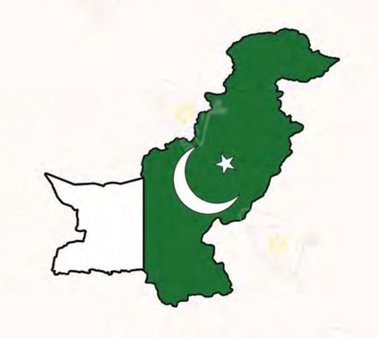 Pakistan Flag Metal Phone Sticker