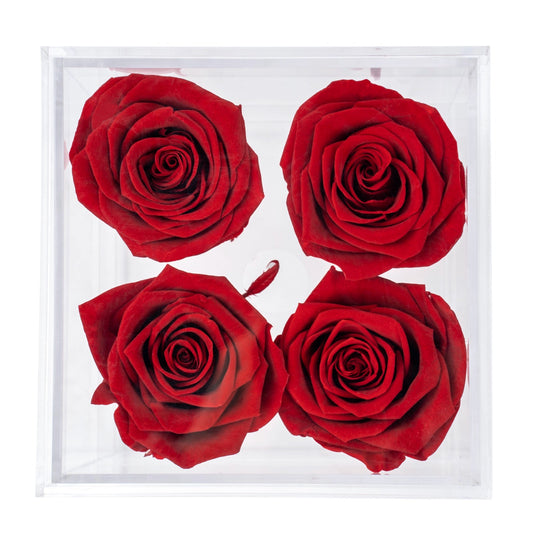 Box of 4 Red preserved roses