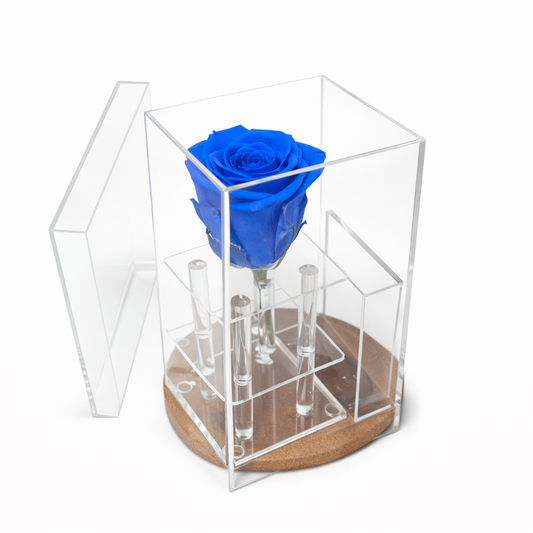 Box of 1 Klevin blue preserved rose