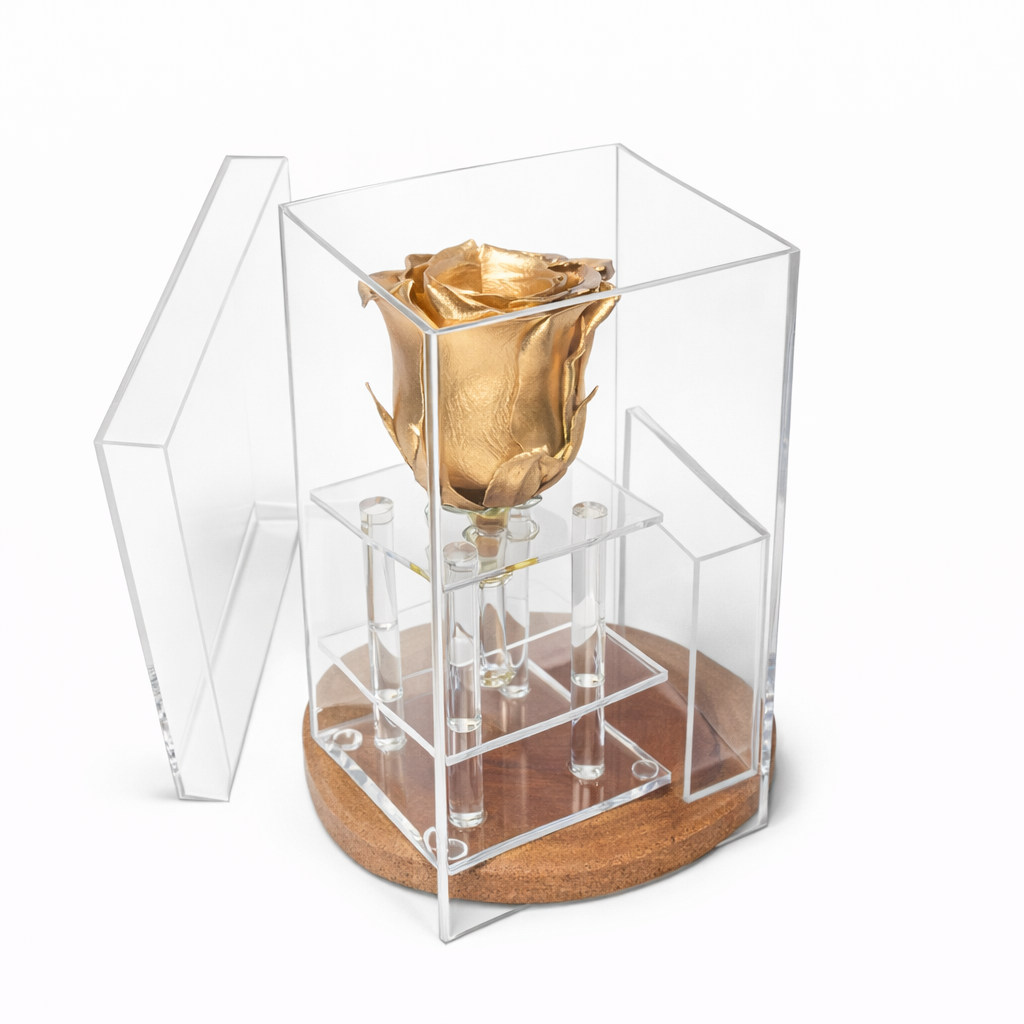 Box of 1 Golden preserved rose