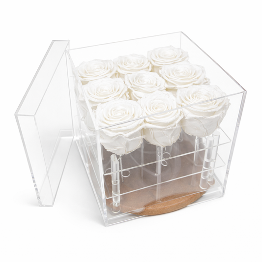 Box of 9 White preserved roses