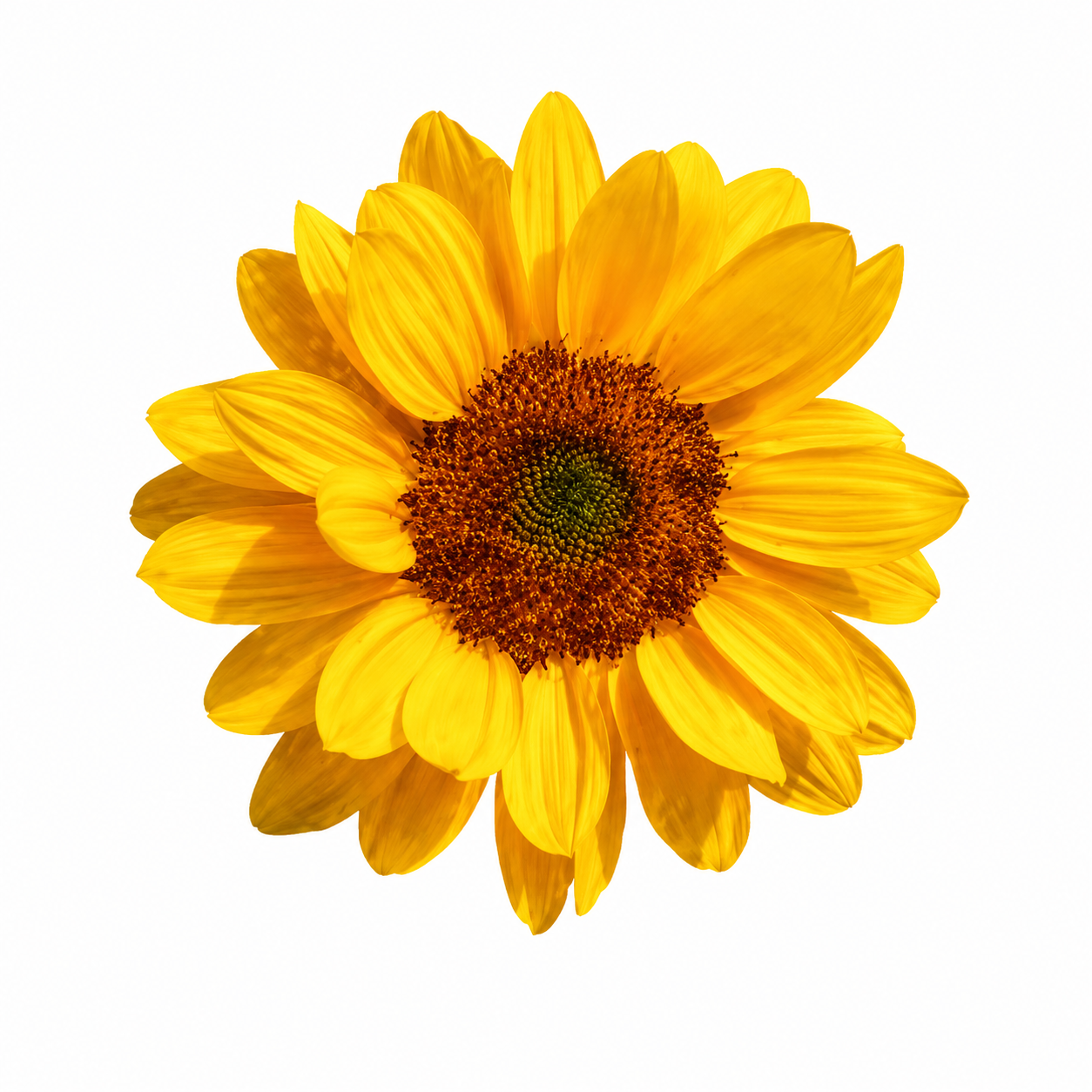 Sunflower Metal Phone Charm Sticker
