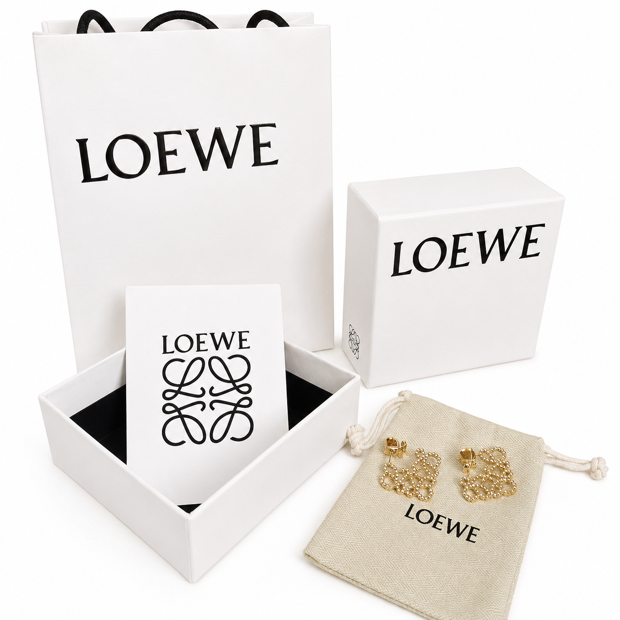 Loewe Earrings(with box & proper packaging)
