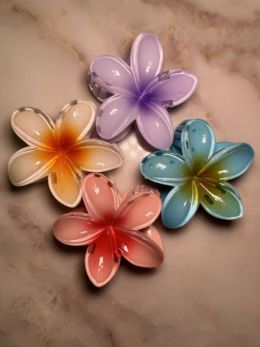 Pack of 4 flower shape multi color hair claw