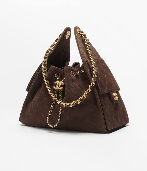 Brown Chanel 25 Bag