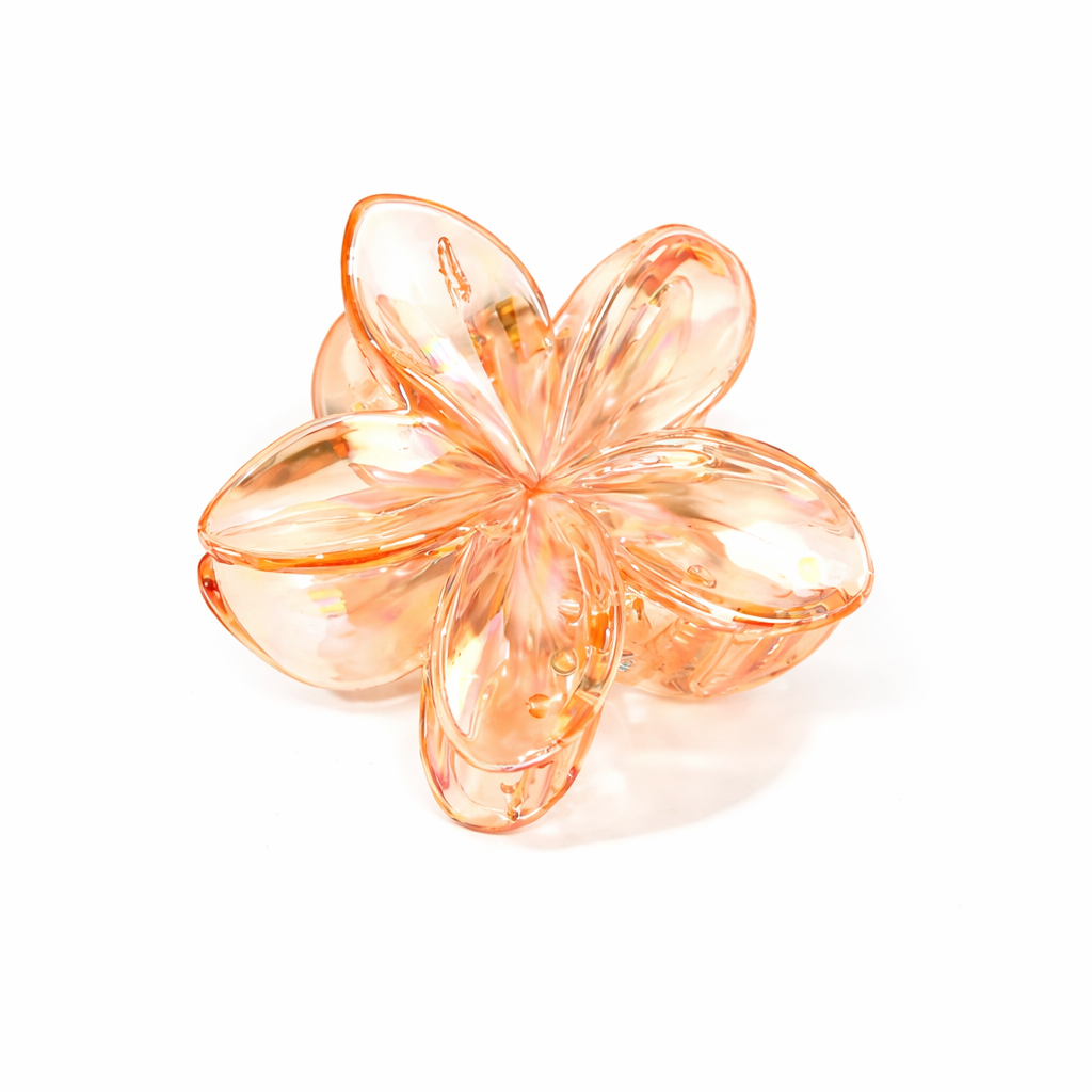 Transparent hair claw Clips