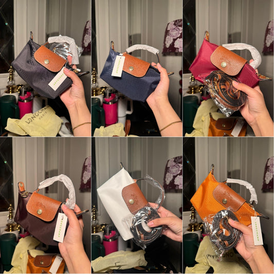 Long champ bag (immediate delivery )
