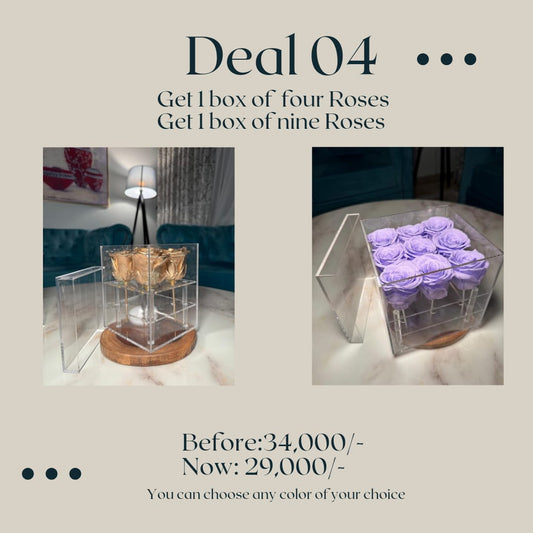 Preserved Roses (deal 4)